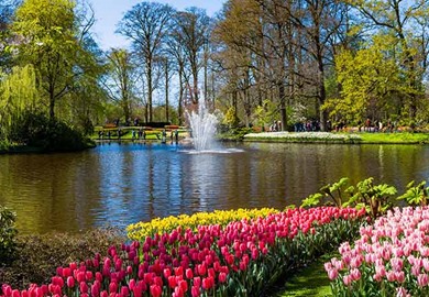 Keukenhof Gardens