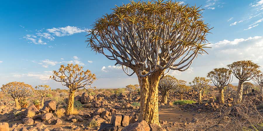 Keetmanshoop & Garas Park