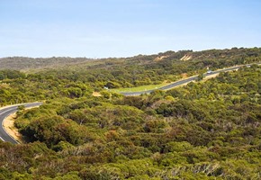 Great Ocean Road Full Day Tour