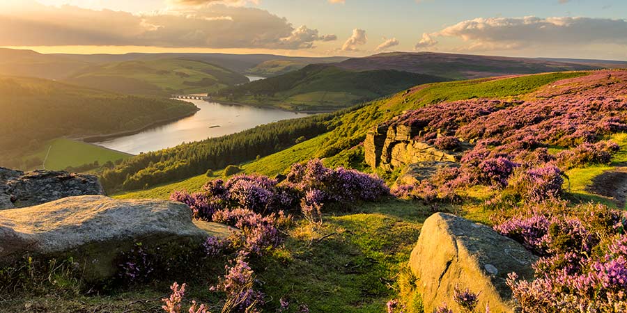Taking in the Peak District’s natural beauty on a guided tour