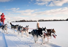 Top winter travel experiences