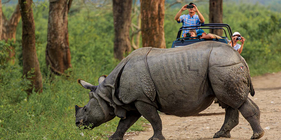 Spotting wildlife in Chitwan National Park