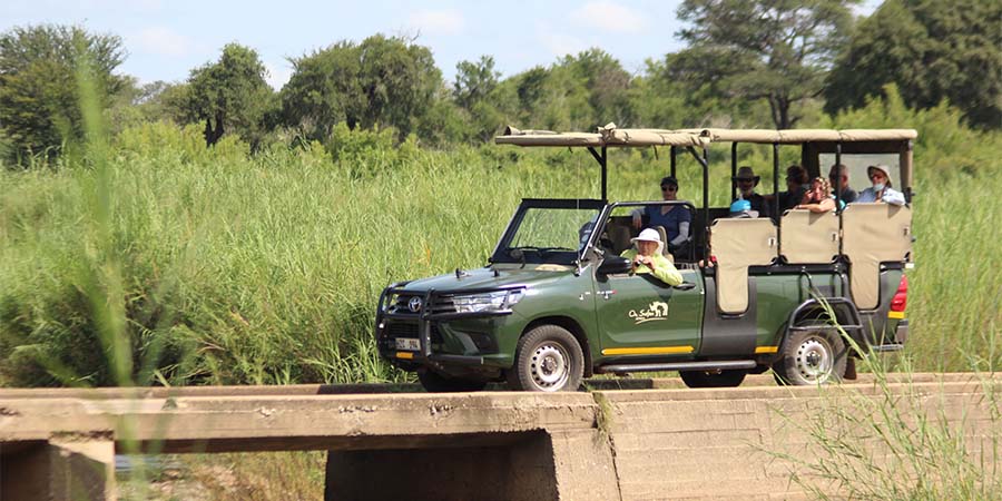 Spotting wildlife on safaris in Kruger National Park